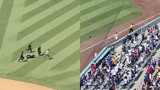 Girl Helps Security Catch Pitch Invader at Dodger Baseball Stadium || WooGlobe