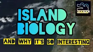 Island Biology and Why It's so Interesting | The Wild Weekly |