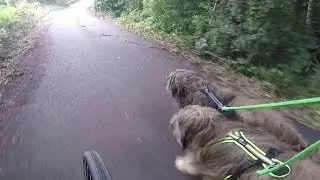 Tretrollertour mit Acari und Amaru 4