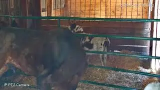 EquineRescueNetwork Live Stream