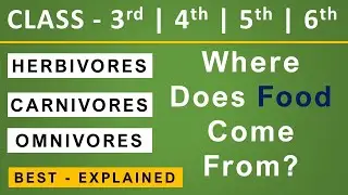 Herbivores | Carnivores | Omnivores | What do Animal Eat| Class 3,4,5,6 #scienceclass
