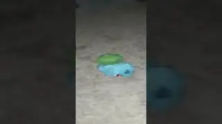 pokemon battle