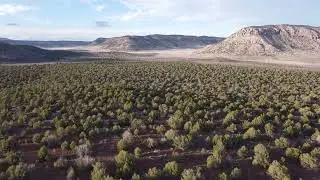 Tuweep Arizona April 21, 2023