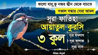 সকাল সন্ধ্যার সেরা আমল। সূরা ফাতিহা আয়াতুল কুরসি ৩কুল | quran recitation | quran tilawat&nbsp;|&nbsp;Alaa&nbsp;Aqel