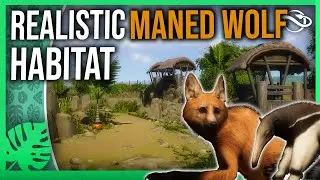 🐺 Realistic Maned Wolf & Giant Anteater Habitat! - Foxborough Zoo