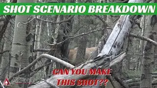 Bowhunting Shot Scenario Breakdown 5- Alert Elk #elkhunting #bowhunting