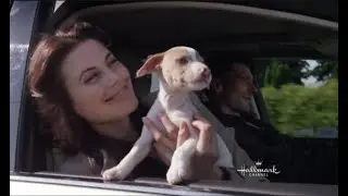 Adoption Ever After Music Video - Hallmark Channel