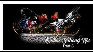 Online Sabong Tips (Part 3)