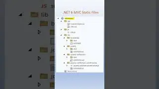 .NET6 MVC StaticFiles