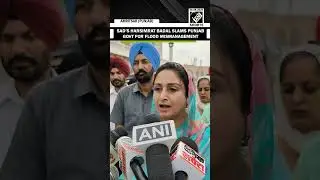 Punjab Floods: SAD MP Harsimrat Badal urges CM, Centre to extend help, issue helpline numbers