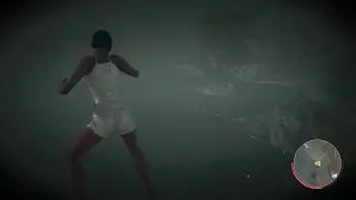 Packanack With 0 Gravity | F13 Game