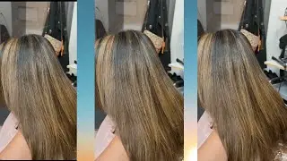 Medium Ash Blonde / Shorts