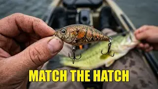 Tennessee's Hidden Kayak Bass Paradise