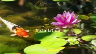 Unleash Tranquility with 615 Ponds - Custom Pond and Water Feature Installations in Nashville, TN
