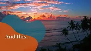 Free HD Nature Videos: No Copyright Lifestyle Clips