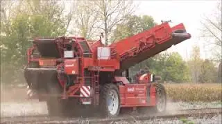 Moulaert aardappelen rooien 2017 , Dewulf Rs 3060