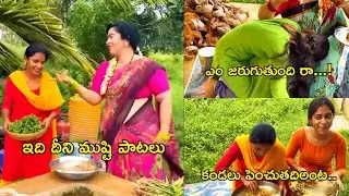 #Perugu Pachadi Aunty Latest Trolls 😅 | Chevilo Puvvu | Trending Telugu Comedy Troll Video