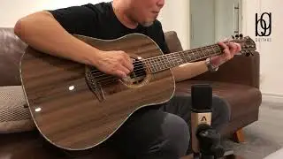 Furch Rainbow Dreadnought Custom | Sinker Redwood . African Blackwood
