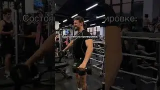 Тренировка - это стресс для организма, он выделяет белок BDNF и эндорфины,которые перезагружают цпнс