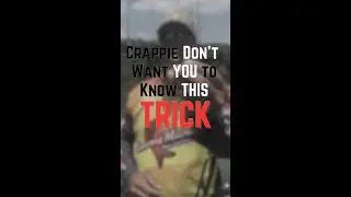 Crappie Magnet is a great way to lure those finicky crappie