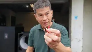 Speaker Anda Bersuara Tidak Enak? Pergunakanlah Kabel Speaker Yang Baik Dalam Box