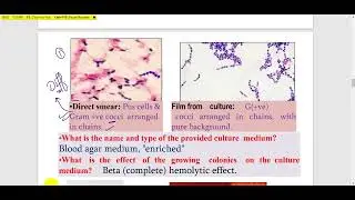 Practical 1 .. Second Y . Micro Resp URT &hellip;. The Best ..🌟 DR.AYMAN ASAAD ايه اللي انت عاوزه score ☝️