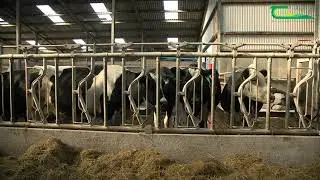 Infrastructure - Danny Bermingham - Teagasc Heavy Soil Programme
