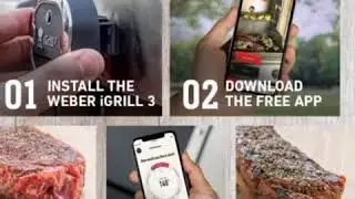 Weber 7204 iGrill 3 Grill Thermometer