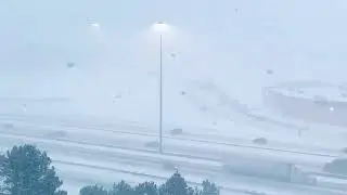 Record snowfall in Toronto🥶#highway401 #shortsvideo #snowstorm #viral #travel #drivesafe #weather 
