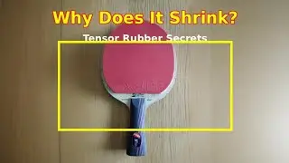 Why Does Tensor Rubber Shrink? | Table Tennis Secrets Revealed