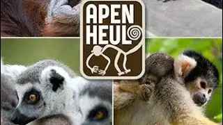 Apenheul 2019