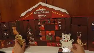 WATCH US GO THROUGH DOG ADVENT CALENDAR FROM COSTCO 2021