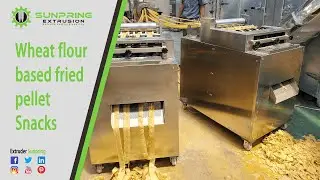 Wheat flour based fried pellet Snacks Processing Line