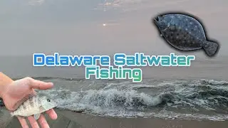 Delaware Saltwater Fishing
