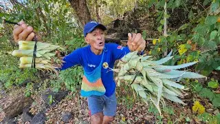 sacando pi&ntilde;icos en el salvador