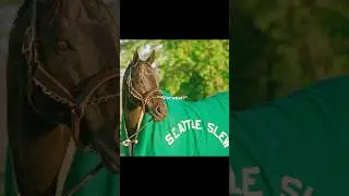 AHH HOLY ANCESTORS🤭😍 #starappearance #seattleslew #thorougbred #ottb #showjumper #gelding #fyp