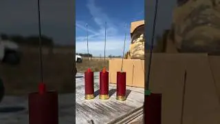 Blowdarts BULLETS Deadly? (Test) *weird result* #shotgun #gun #civtac