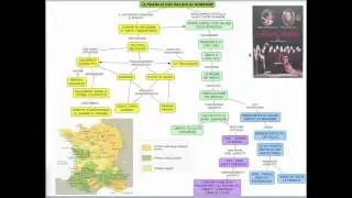 Le guerre di religione in Francia