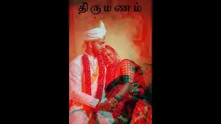 HINDU WEDDING | TAMIL TRADITIONAL WEDDING | HIGHLIGHTS | MAHO & THARSSI | CINESHOT | 2023