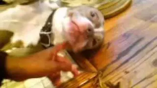 AUDIO BEFORE USTREAM - 6-16-11 - PART 3