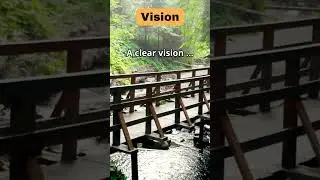 Vision  #motivation #persistence #resilience #overcoming #never #inspiration #positivity