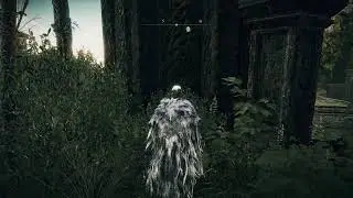 Defeating All Bosses in Shadow of the Erdtree (Part 2)