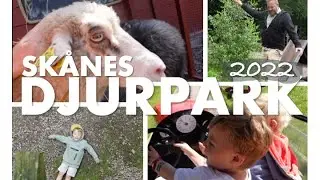 Jag svimmar...! | SKÅNES DJURPARK 2022