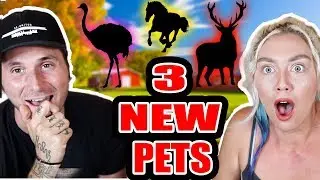 WE ARE GETTING 3 NEW PETS!!!