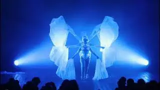 Polvere di Stelle 2025 - White Flight