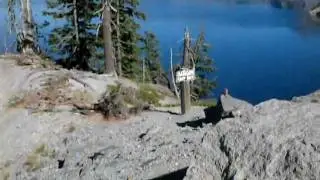 FEEDING A CHIPMUNK AT CRATER LAKE