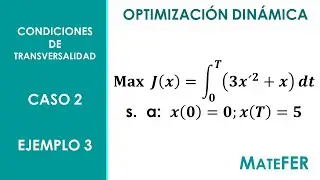 Optimización Dinámica - Condiciones de Transversalidad - Caso 2 - EJEMPLO 3
