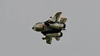 Daniel's Fatty F-14  7 August 2022