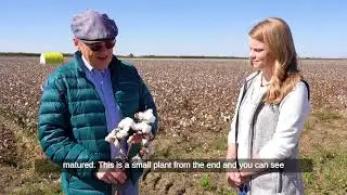 From the Farm Virtual Field Trip: Cotton Farm