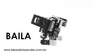 Laboratorio Escolar  Robot Huno